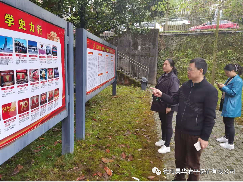 公司黨委黨史學(xué)習(xí)教育督導(dǎo)組扎實(shí)開(kāi)展督導(dǎo)工作